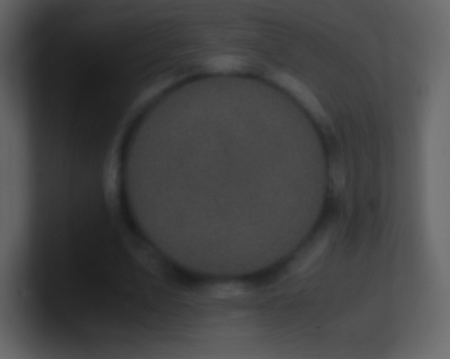 X0000101430583200807071343