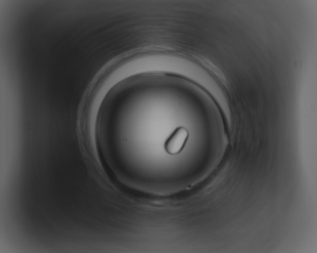 X0000101430584200807071343