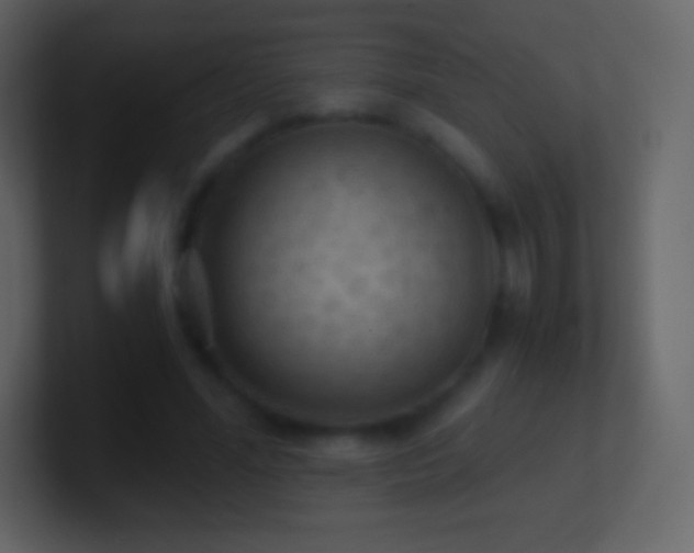 X0000101430588200807071343