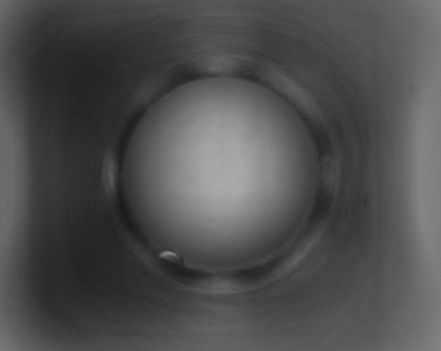X0000101430589200807071343