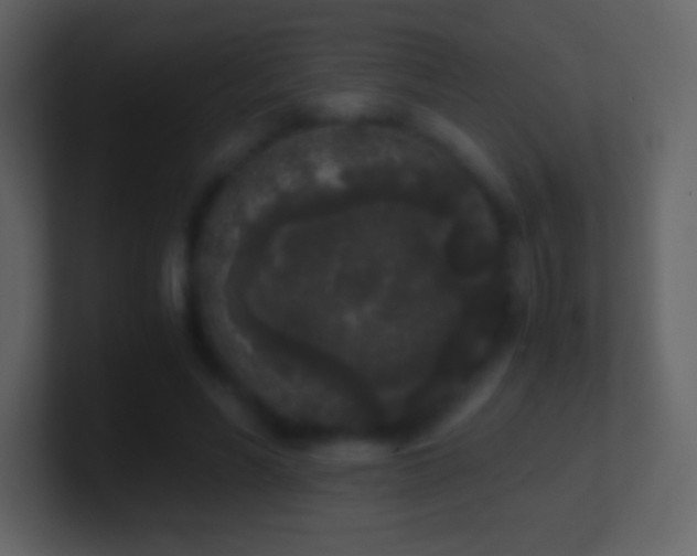 X0000101430590200807071343