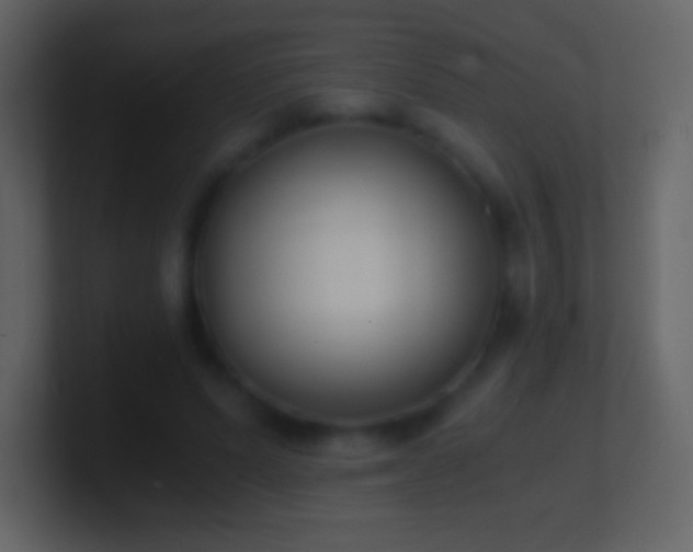 X0000101430591200807071343