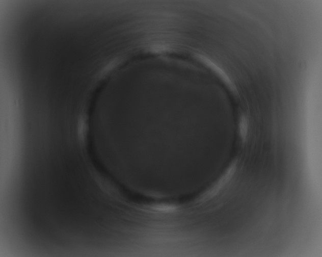 X0000101430592200807071343