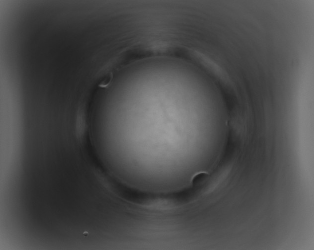X0000101430593200807071343