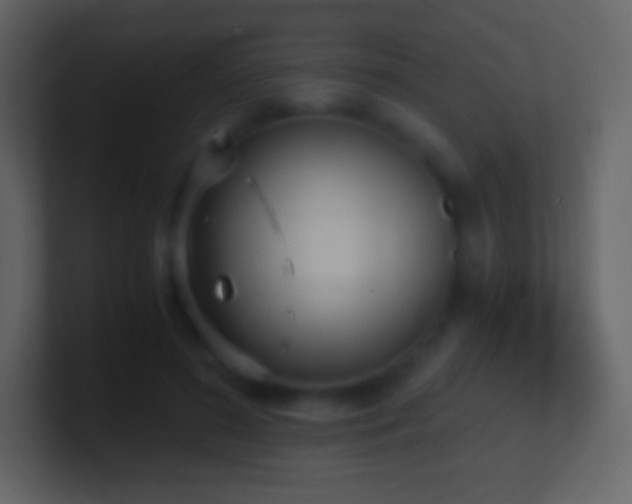 X0000101430596200807071343