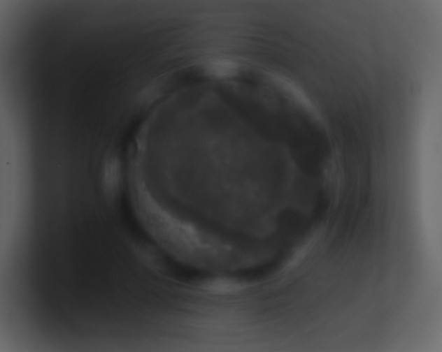 X0000101430598200807071343