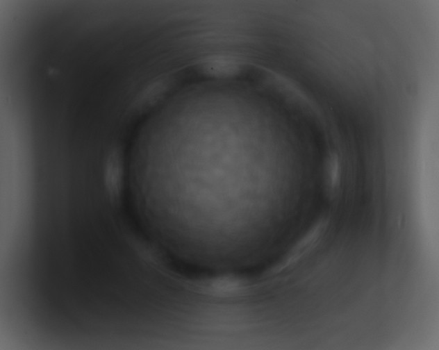 X0000101430600200807071343