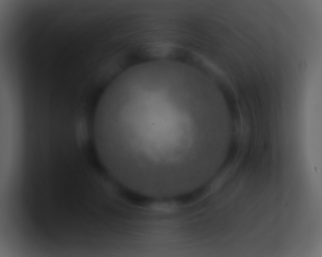 X0000101430606200807071343