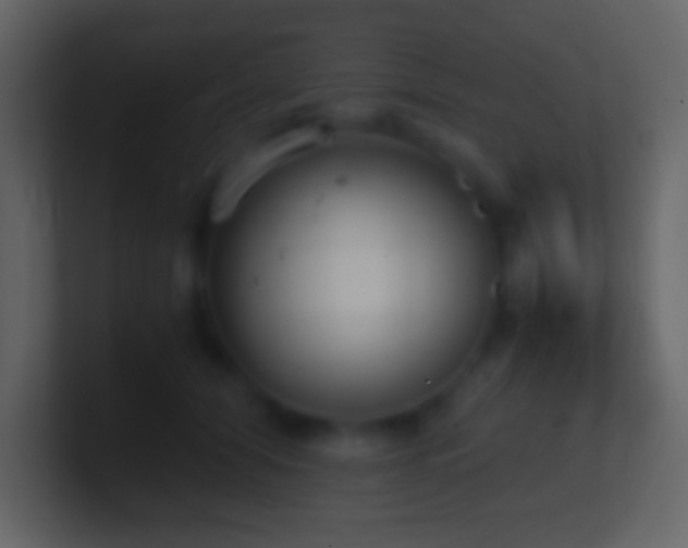 X0000101430608200807071343