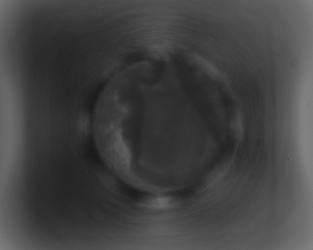 X0000101430610200807071343