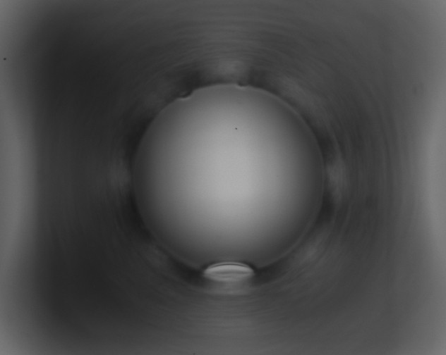X0000101430617200807071343