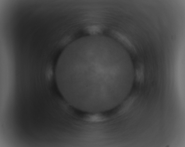 X0000101430618200807071343
