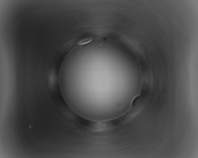 X0000101430623200807071343