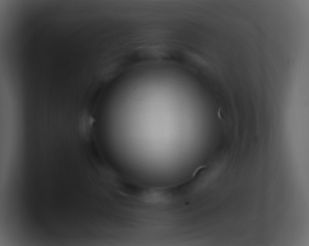 X0000101430624200807071343