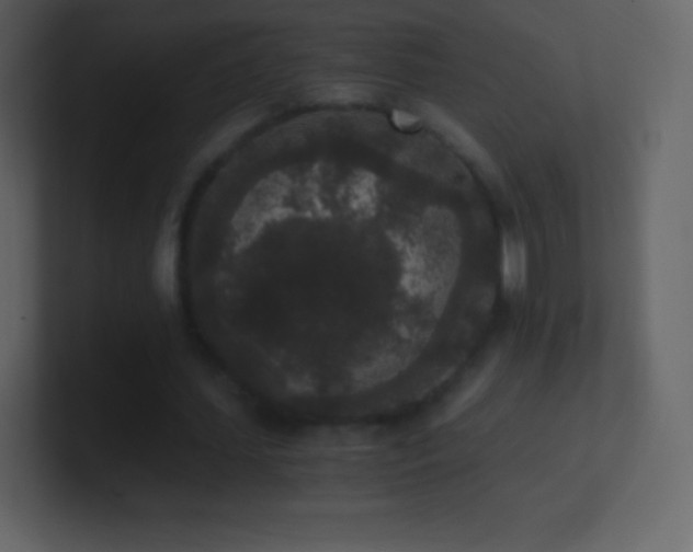 X0000101430627200807071342