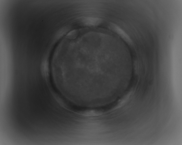 X0000101430634200807071342