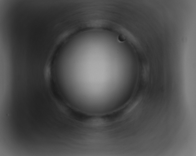 X0000101430636200807071342