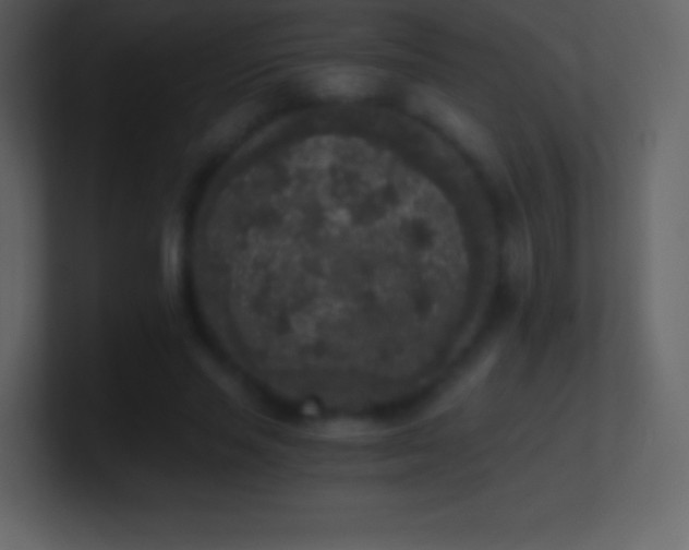 X0000101430637200807071342