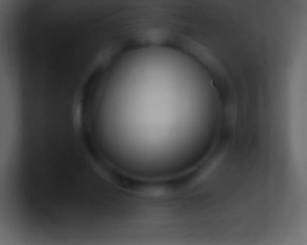 X0000101430638200807071342
