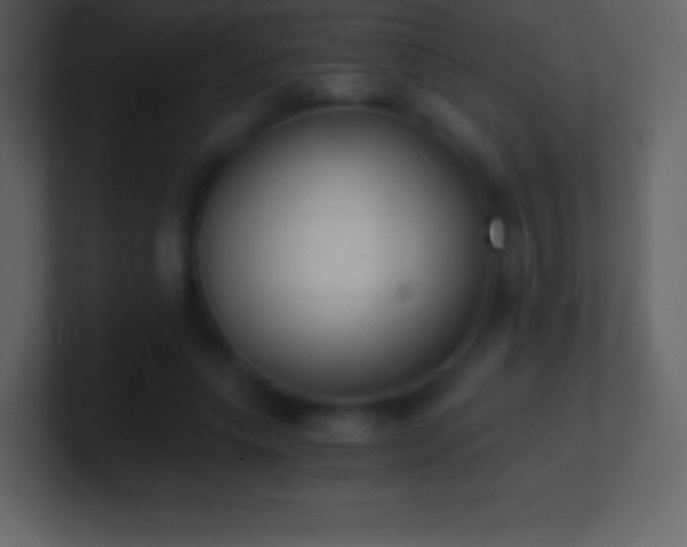 X0000101430639200807071342