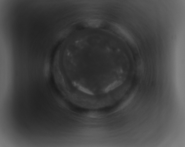 X0000101430641200807071342