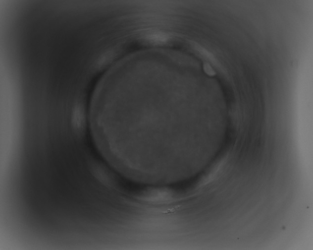 X0000101430642200807071342