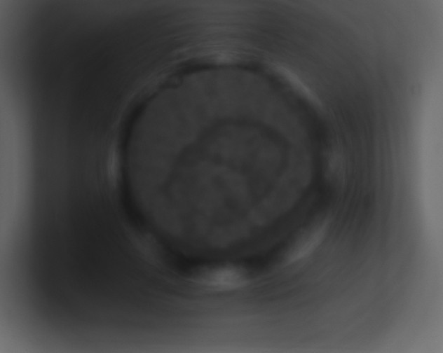 X0000101430643200807071342