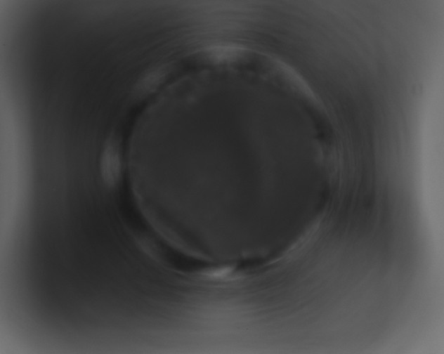 X0000101430644200807071342