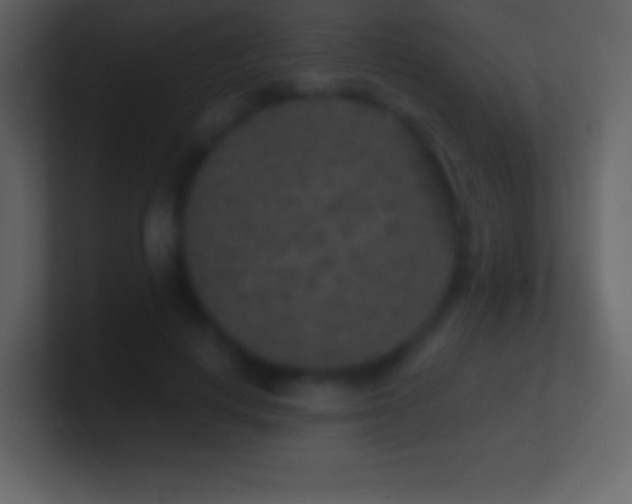 X0000101430648200807071342