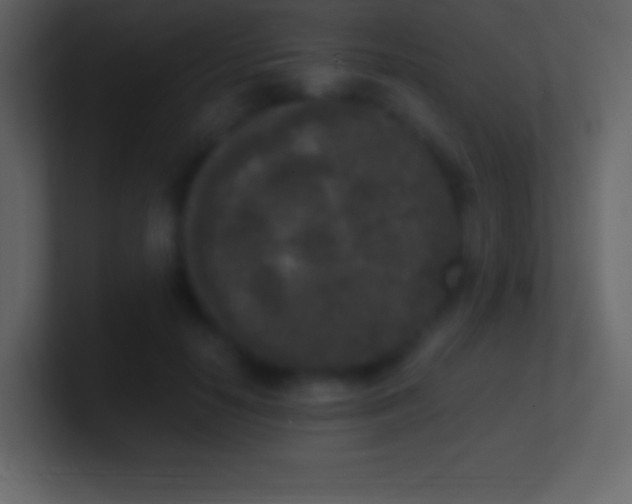 X0000101430650200807071343