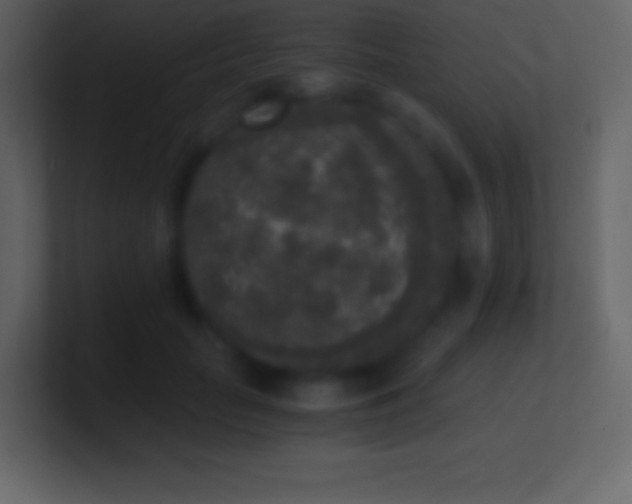 X0000101430653200807071343