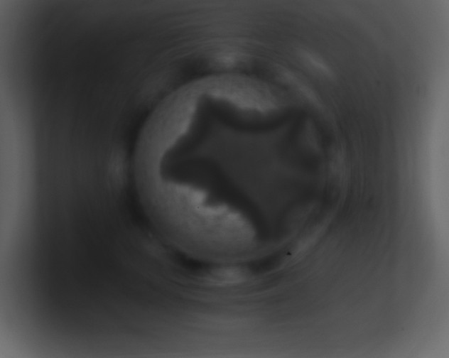 X0000101430659200807071343