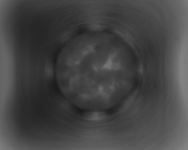 X0000101430663200807071343