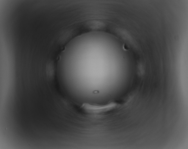 X0000101430664200807071343