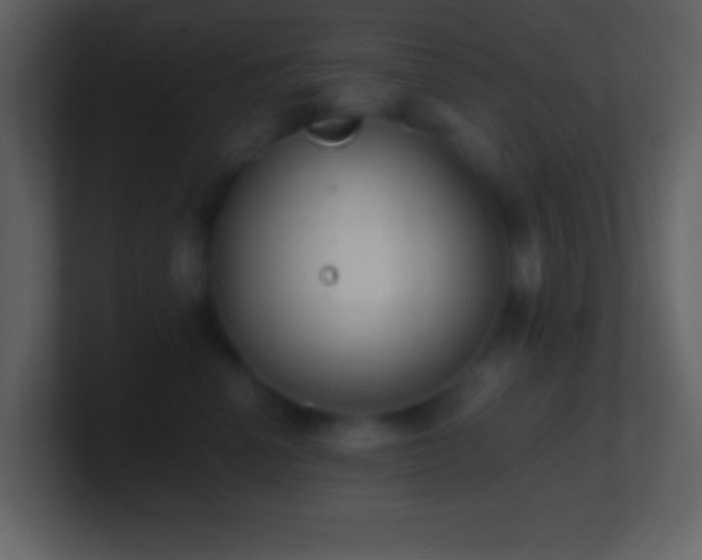 X0000101430666200807071343