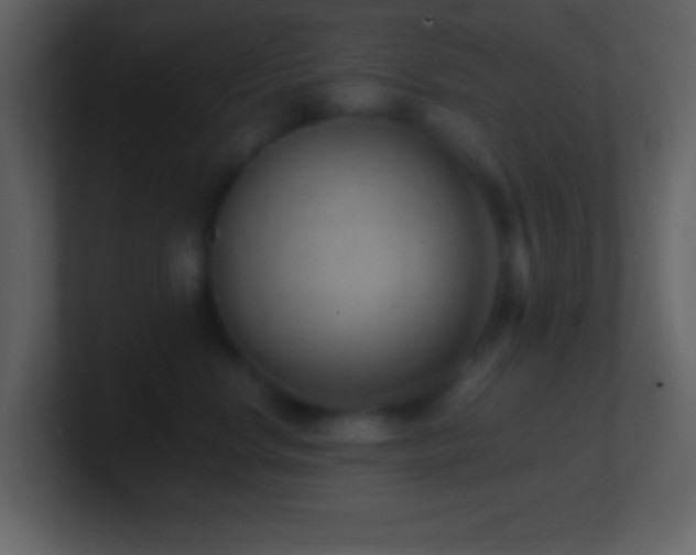 X0000101430668200807071343