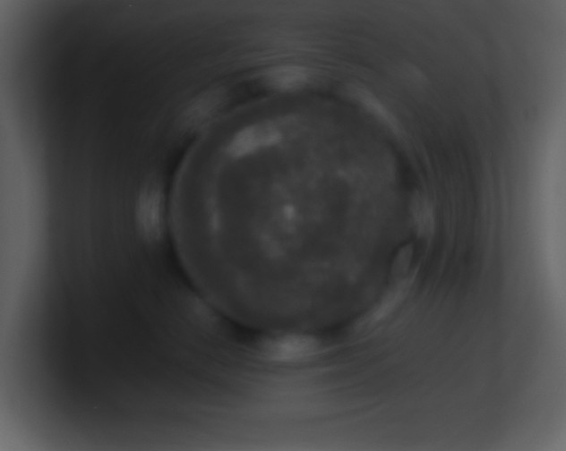 X0000101430670200807071343