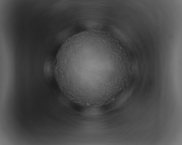 X0000101430671200807071343