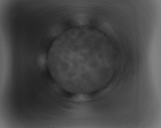 X0000101430672200807071343
