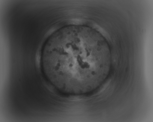X0000101430679200807071342