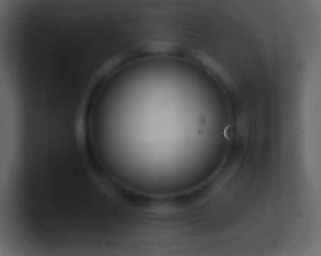 X0000101430682200807071342