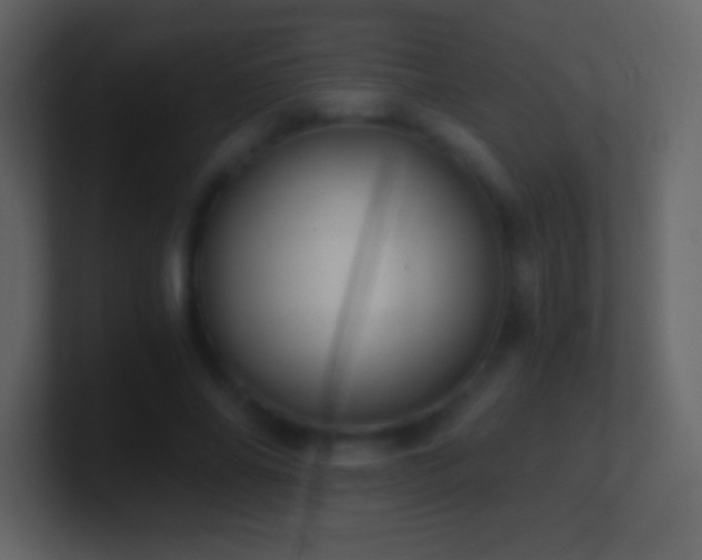 X0000101430686200807071342