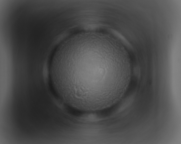 X0000101430687200807071342