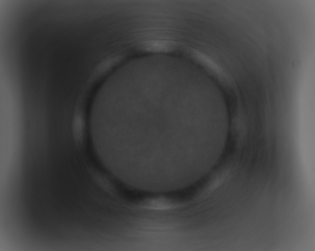 X0000101430688200807071342