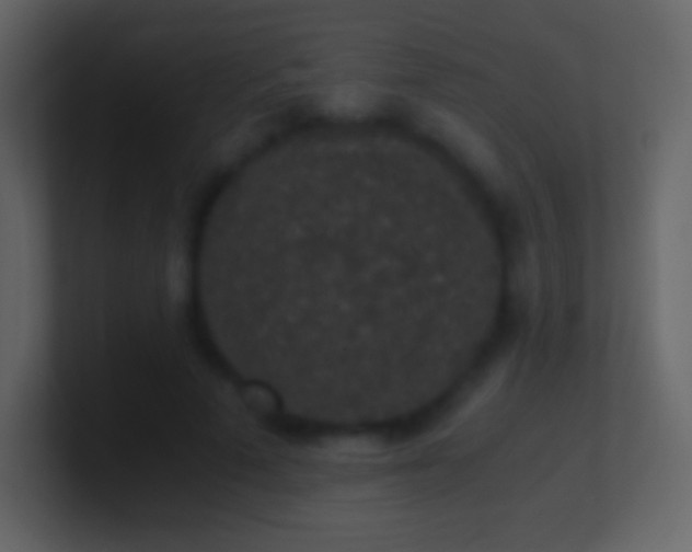 X0000101430689200807071342