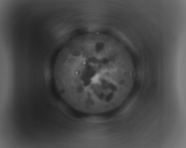 X0000101430691200807071342