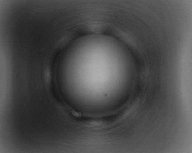 X0000101430693200807071342