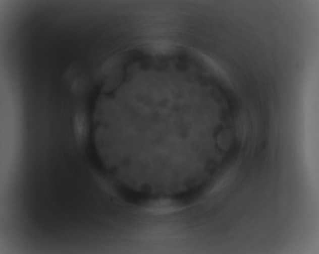 X0000101430695200807071342