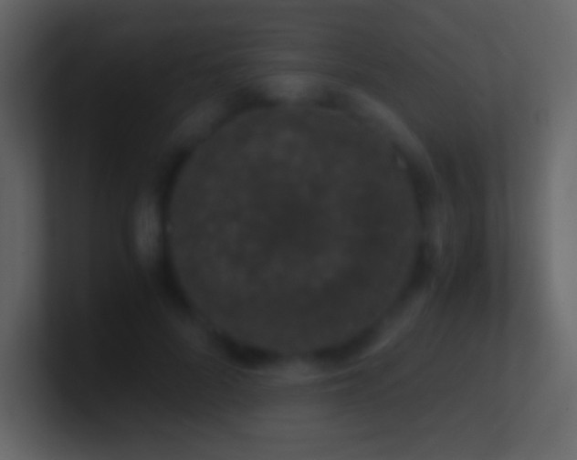 X0000101430696200807071342