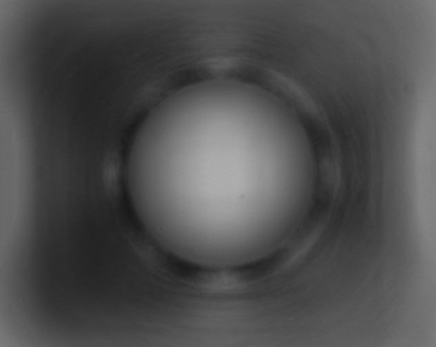 X0000101430698200807071342